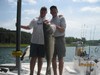 (07/05/2014) - Nice Striped Bass